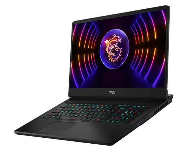 Laptop MSI Vector GP77 13VG-043VN