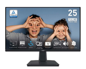 Màn hình MSI PRO MP251 24.5 Inch IPS 100Hz PRO-MP251