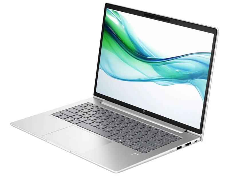 HP ProBook 465 G11 Ryzen 3 7335U/8G/256GSSD/16.0WUXGA/WL/BT/FP/3C/ALU/W11SL/LEDKB/BẠC (A8WR9PT)