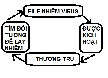 Virus mang may tinh